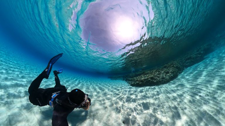 Seaμμαχία για καθαρότερες θάλασσες από την Τράπεζα Κύπρου: Τι δείχνει έρευνα για βιοποικιλότητα, ποιότητα νερού/ιζήματος και υποθαλάσσια ηχορύπανση